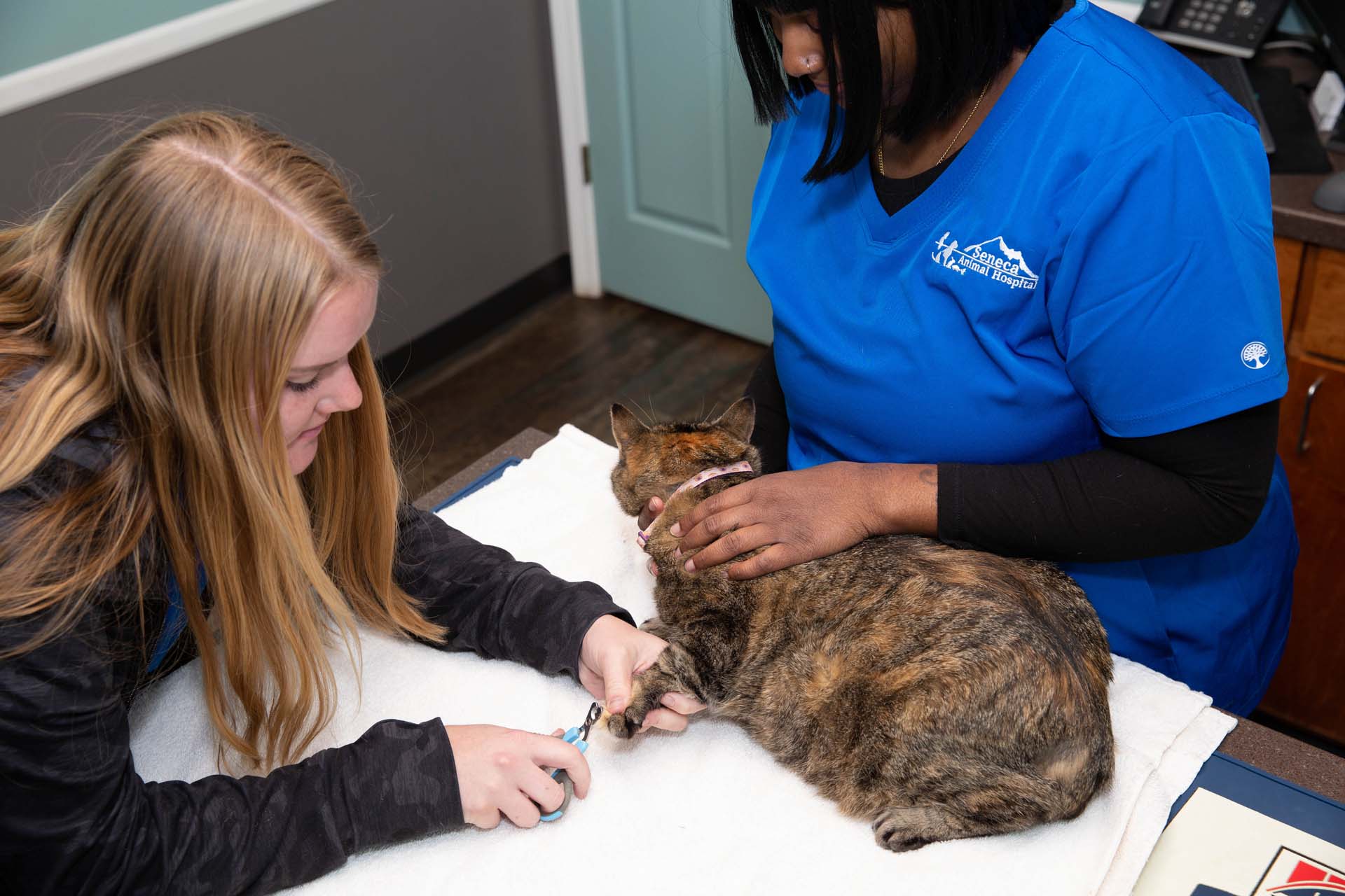 Pet Additional Services In Seneca, SC 29678 Seneca Animal Hospital