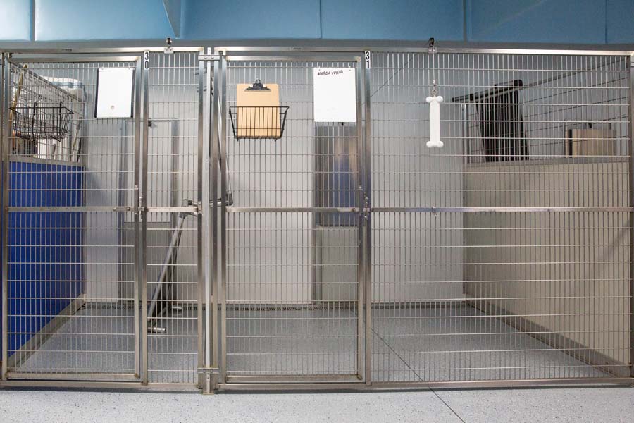 Seneca Animal Hospital Canine Boarding Suites