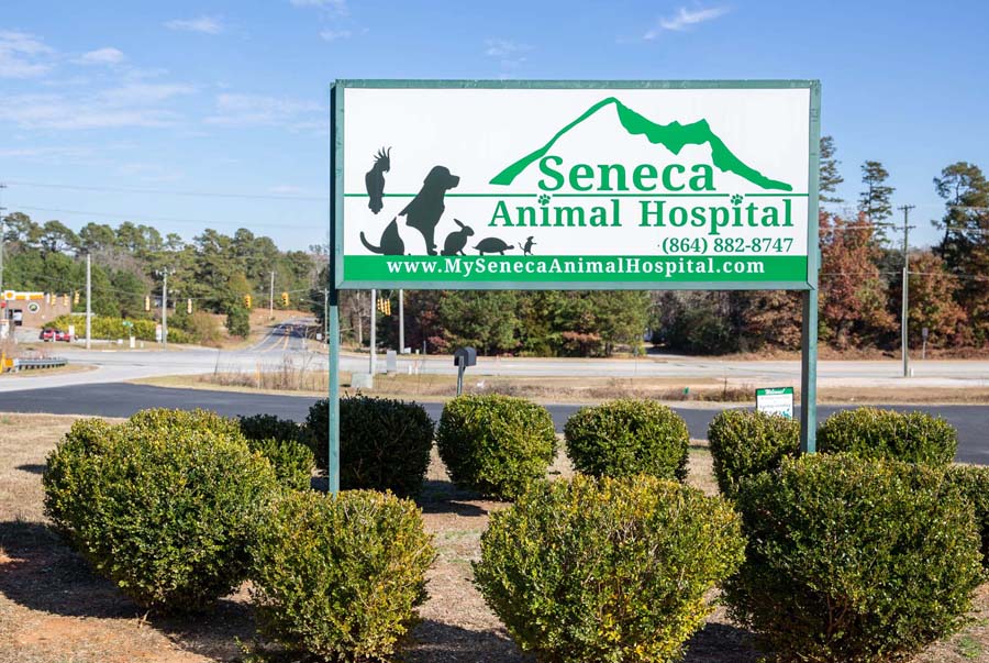 Seneca Animal Hospital sign