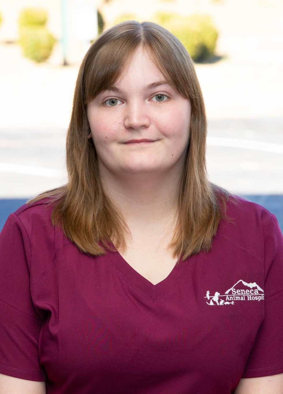 Veterinarian In Seneca, SC 29678 Seneca Animal Hospital