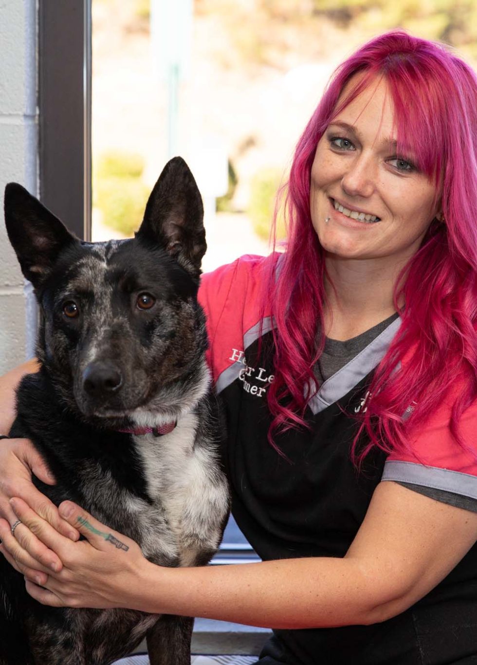 Veterinarian In Seneca, SC 29678 Seneca Animal Hospital