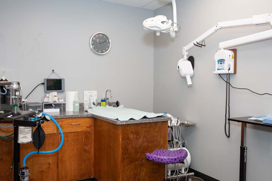 Seneca Animal Hospital Dental & Specials Suite