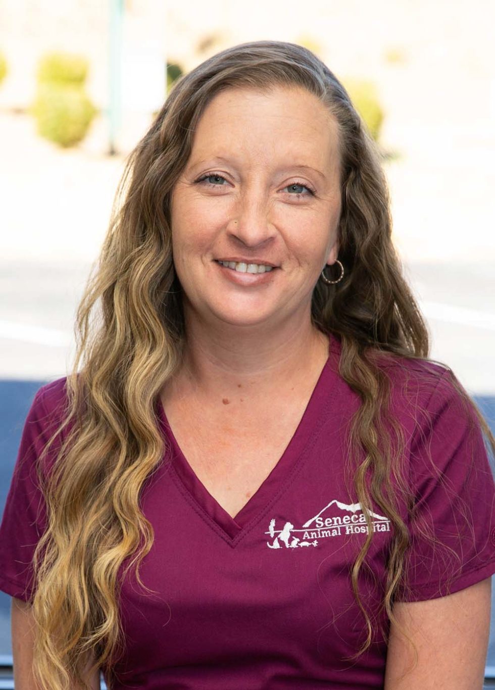 Veterinarian In Seneca, SC 29678 Seneca Animal Hospital