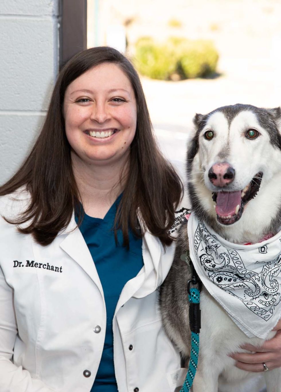 Veterinarian In Seneca, SC 29678 Seneca Animal Hospital
