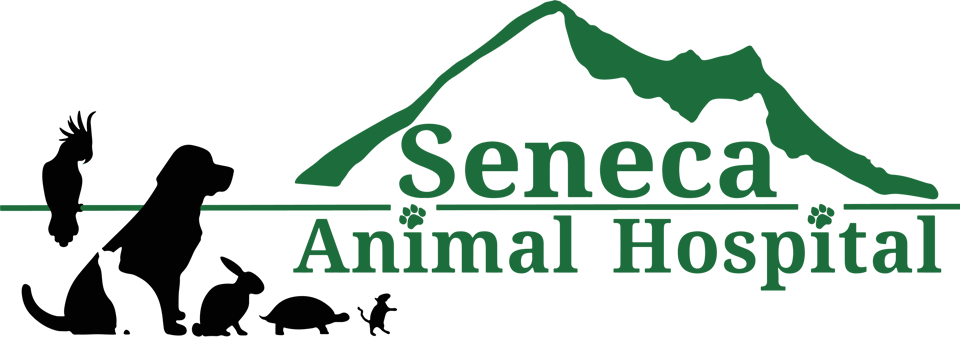 Seneca Animal Hospital