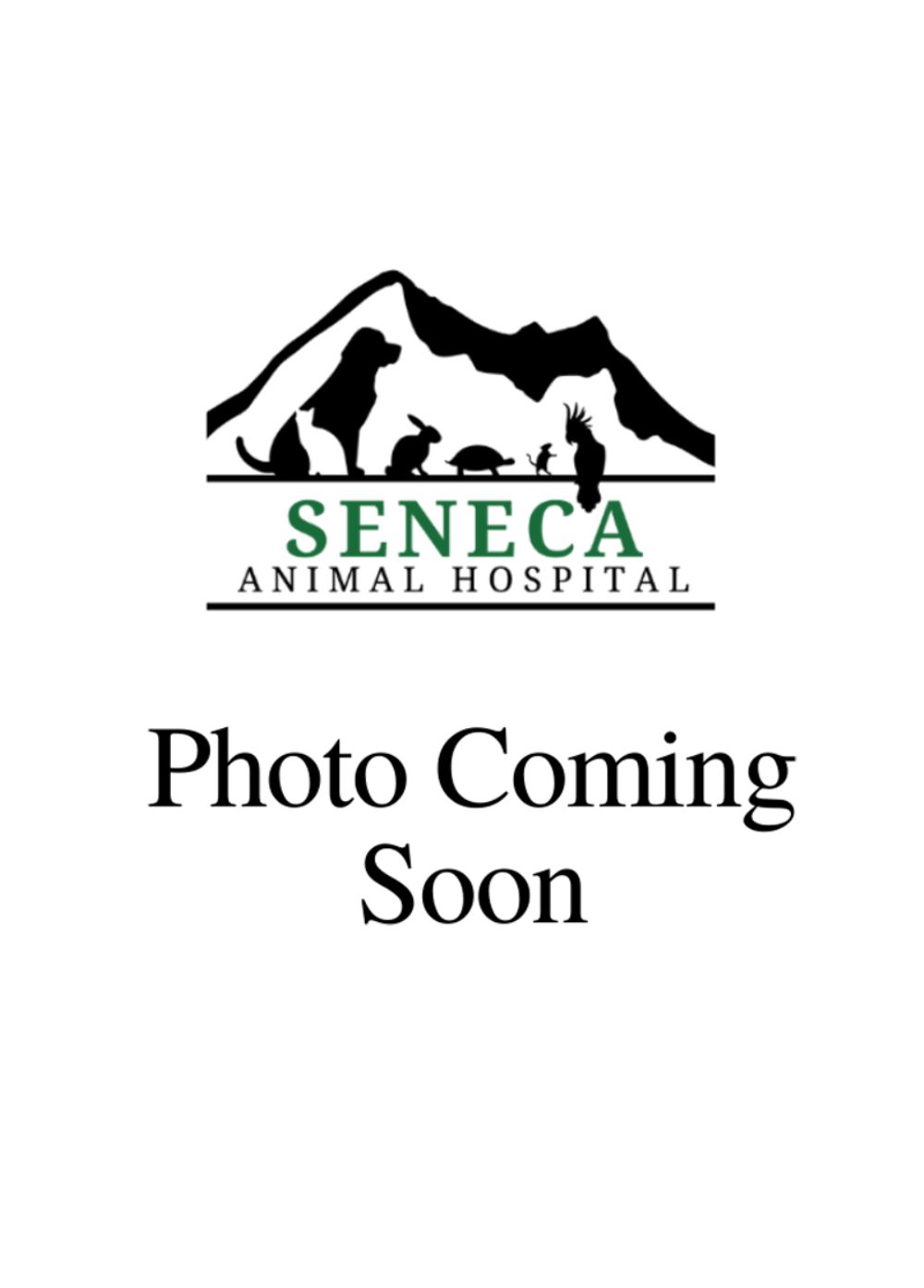 Seneca Animal Hospital photo coming soon