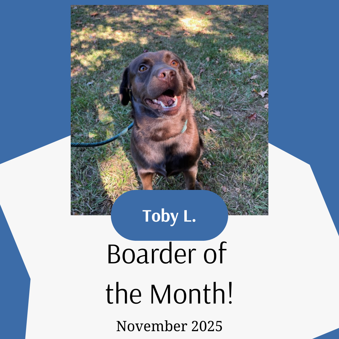 Boarder of the Month of November Toby L.
